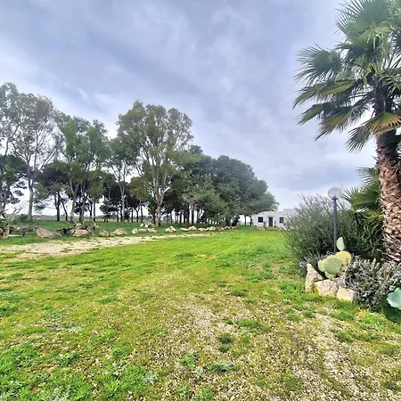 Twin Tails - Sant'isidoro *