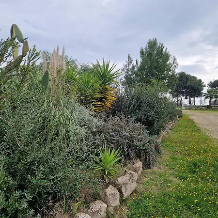 Twin Tails - Sant'isidoro Bed & Breakfast *